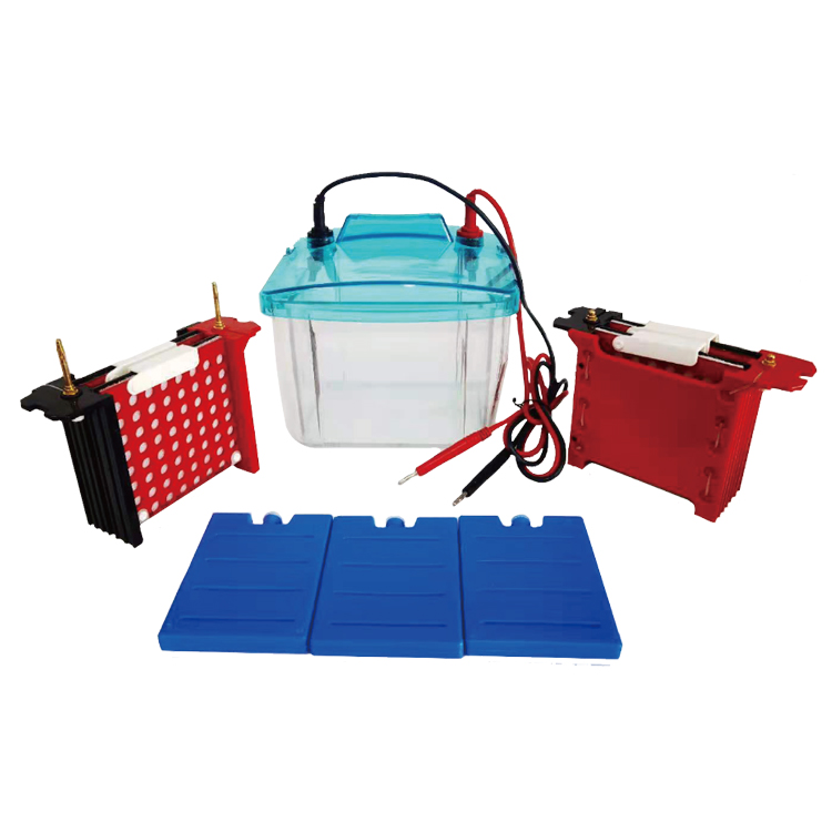 北京六一DYCZ-40S型四板轉印電泳儀